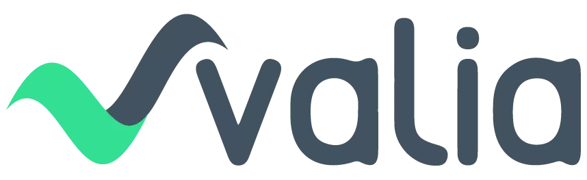 logo valia